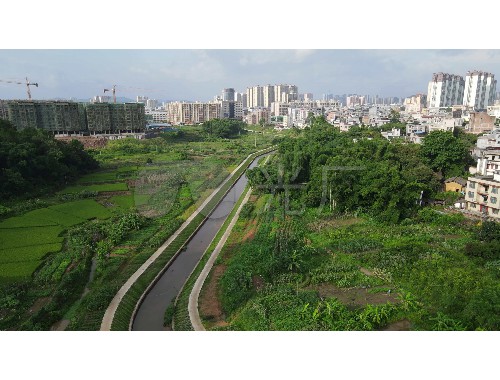 阳泉市城市绿化管理条例