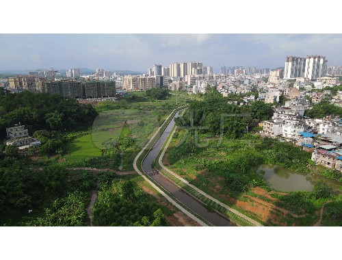 演讲稿城市绿化特点简短